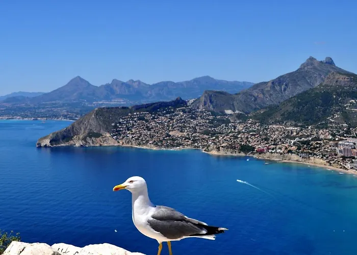 فيلة Maryvilla 0220